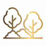 LANDING PAGE CAMPOS2_icon_05 LANDING PAGE CAMPOS2_icon_05