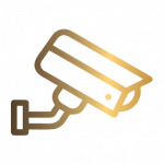 LANDING PAGE CAMPOS2_icon_07 LANDING PAGE CAMPOS2_icon_07